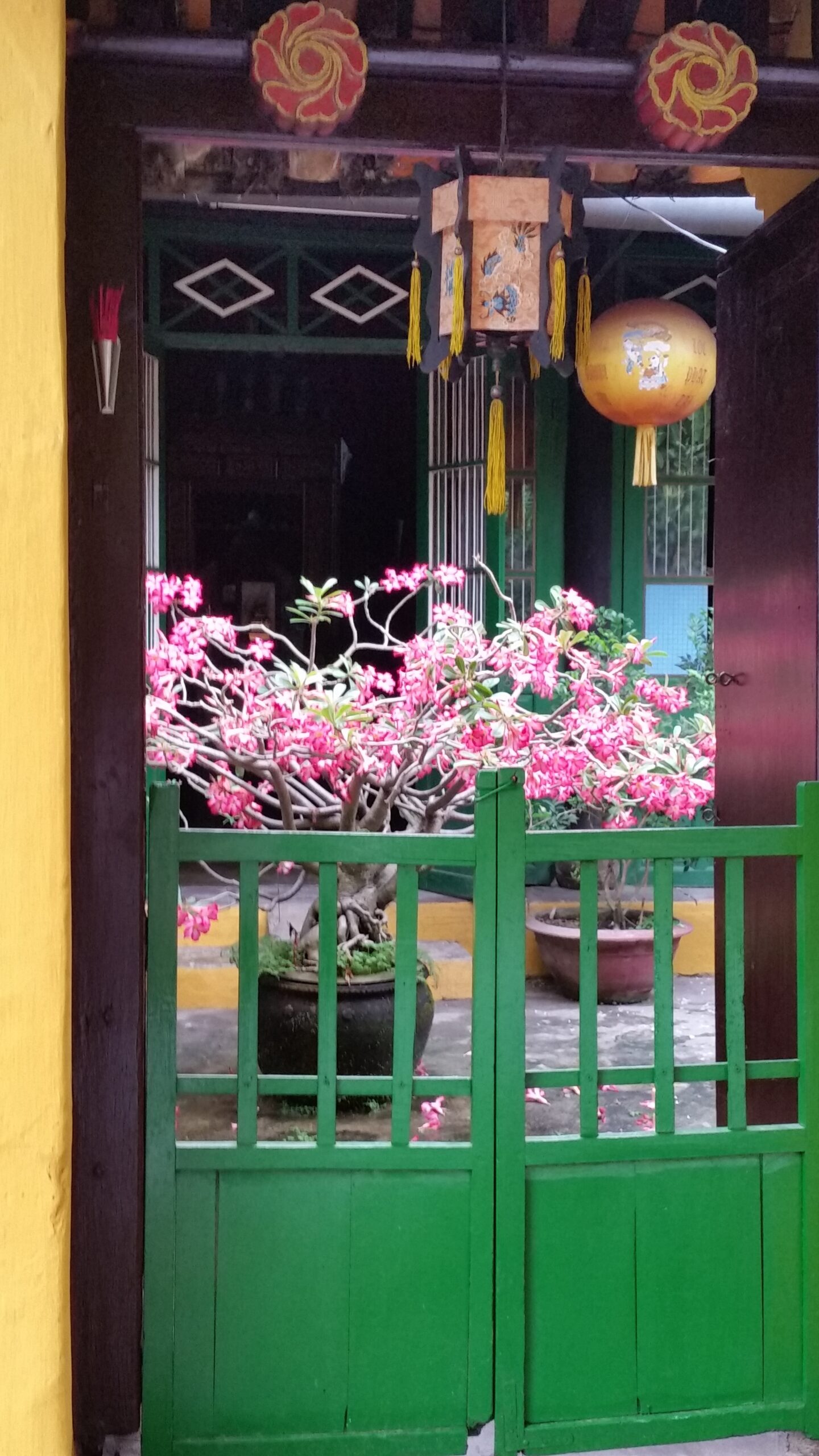 Green gate with pink flowering plant inside.