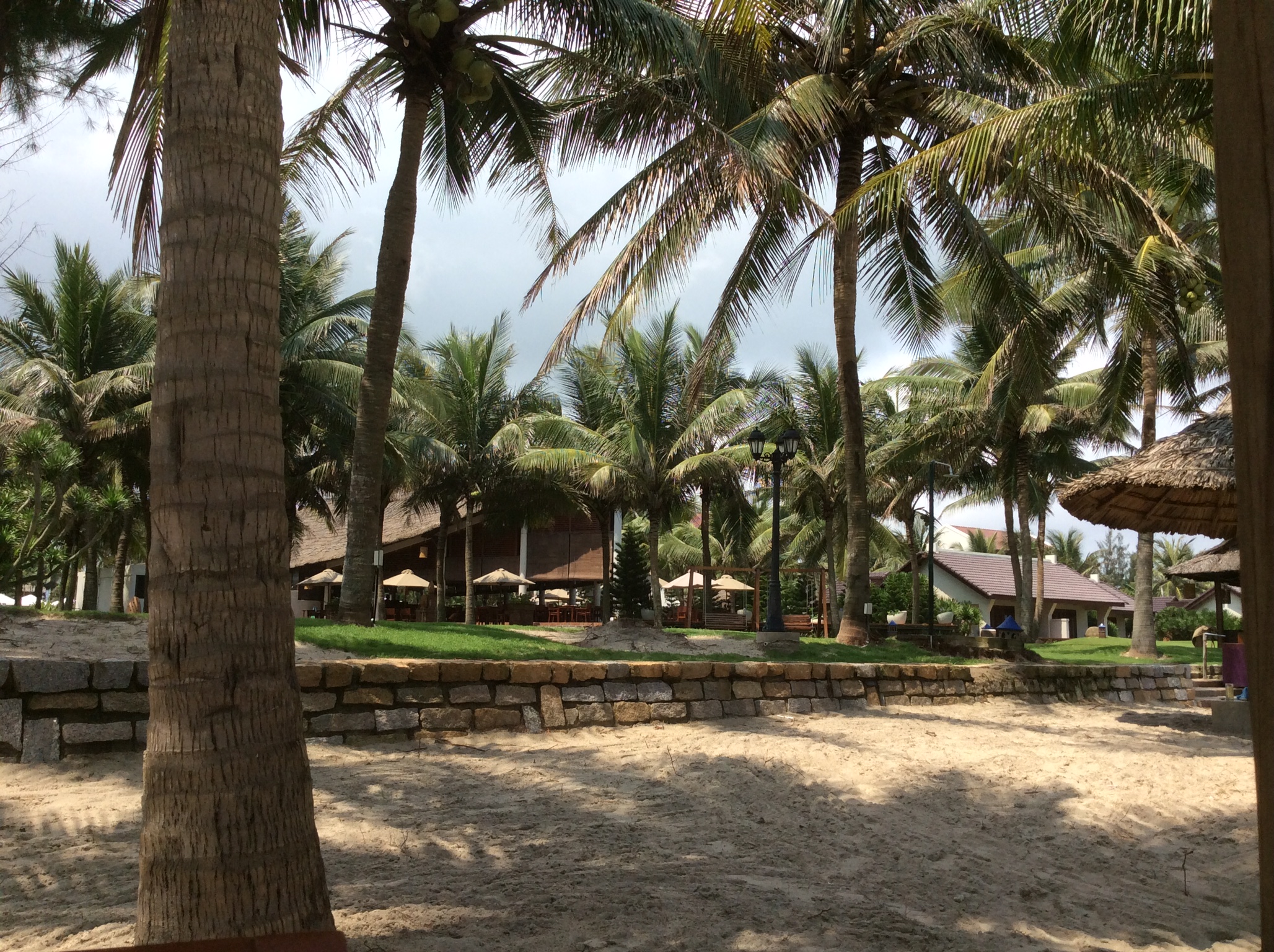Beach resort with palm trees and huts.
